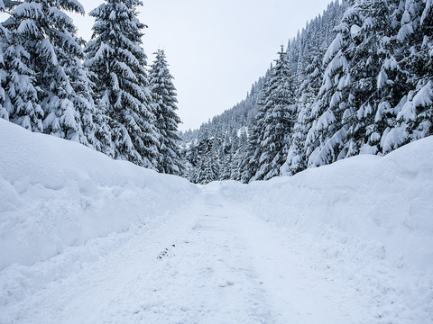 Finlandia