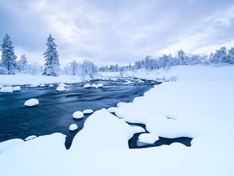 Svezia