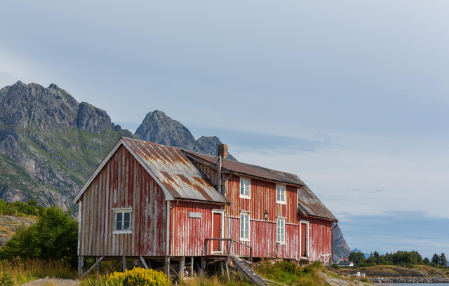 Norvegia