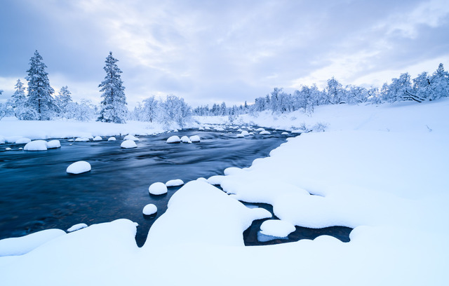 Svezia