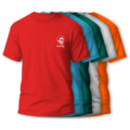 5 T-Shirt colori assortiti