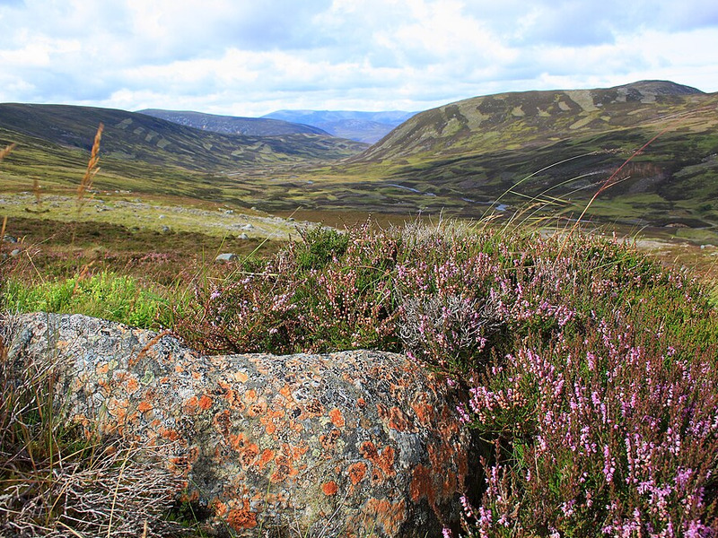 Cairngorms National Park