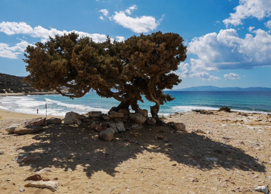 Spiaggia di Pyrgaki Naxos