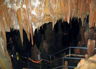 Grotte di Petralona Penisola Calcidica