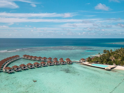 Bravo Premium Alimatha'