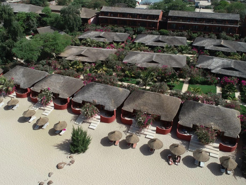 Royal Horizon Baobab