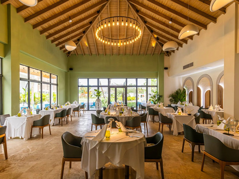 Bravo Premium Viva Miches