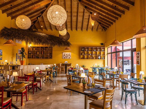 Bravo Premium Viva Miches