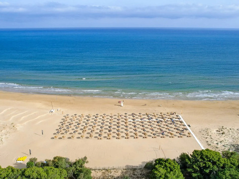 Bravo Smart Conte Di Cabrera