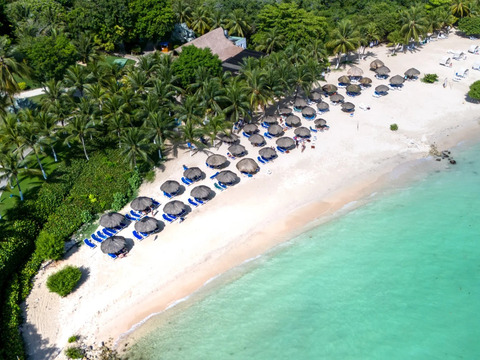 Bravo Smart Decameron Baru'