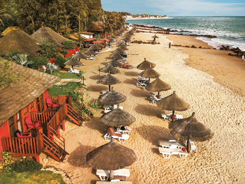 Royal Horizon Baobab