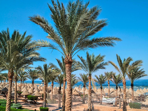 Ciaoclub Grand Plaza Resort