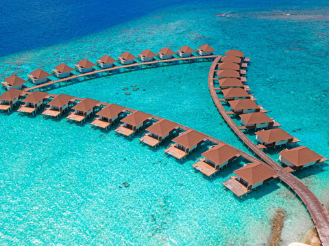 Bravo Premium Alimatha'