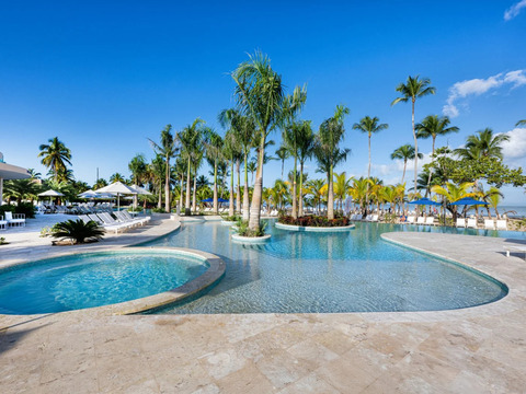 Bravo Premium Viva Miches