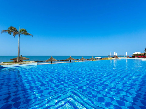 Royal Horizon Baobab