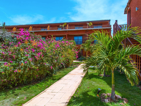 Royal Horizon Baobab