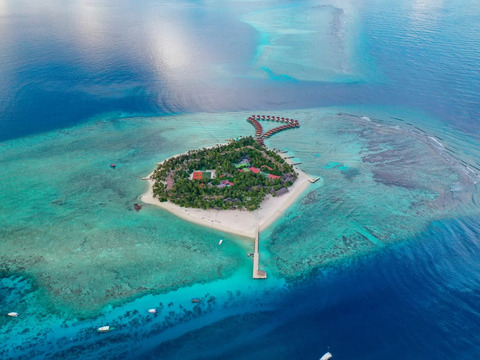 Bravo Premium Alimatha'