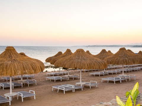 Nicolaus Prime Sunrise Remal Beach