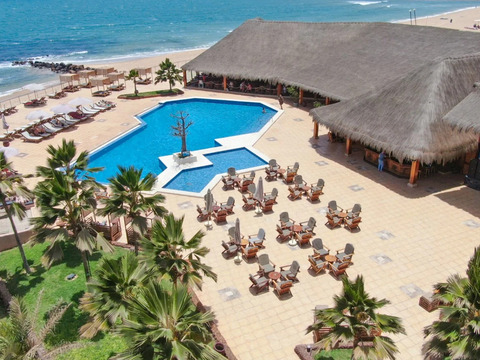 Royal Horizon Baobab