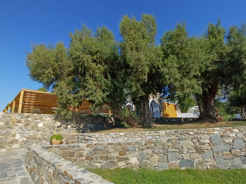 Bravo Premium Mitsis Norida