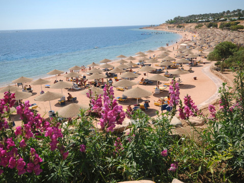 Domina Coral Bay Sultan Resort