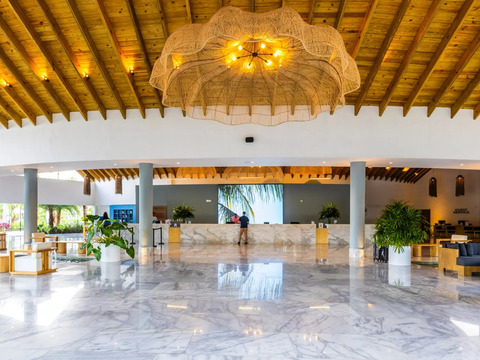 Bravo Premium Viva Miches