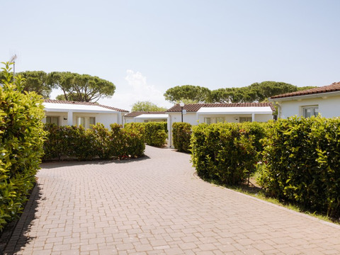 Nicolaus Club Alimini Smile