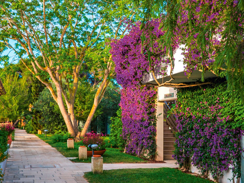 Alpiselect Robinson Apulia