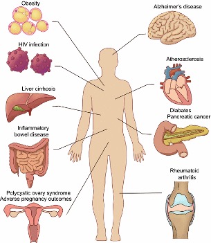 ORAL MICROBIOME