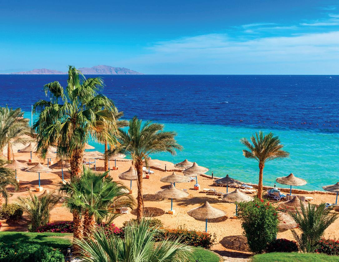 blue lagoon marsa alam