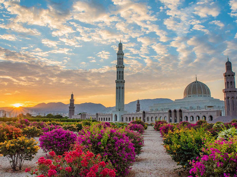 Tour Oman e Oasi