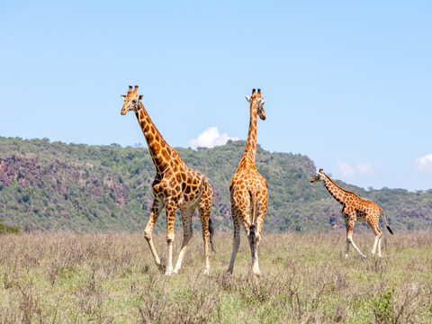 Kenya