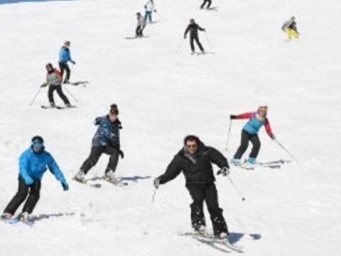 neve