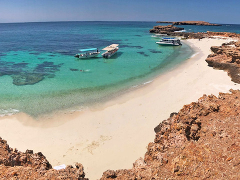 Tour Oman e Oasi