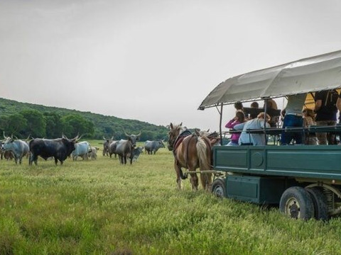 Pasqua per single in Maremma