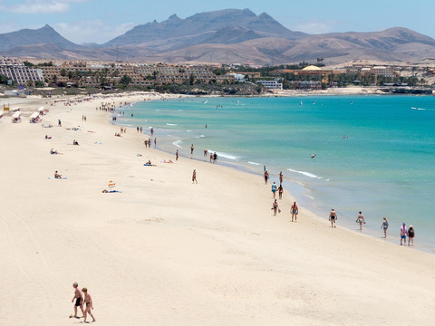canarie