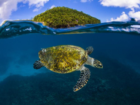 Ponte 25 aprile alle Seychelles