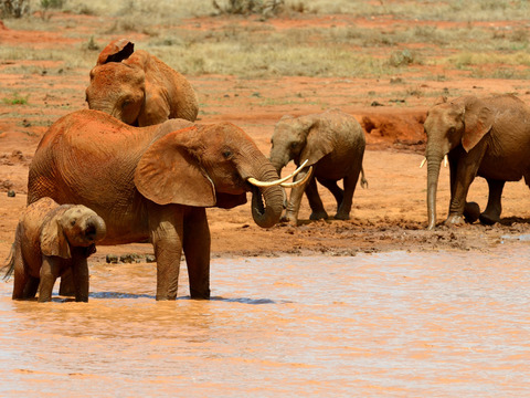 Kenya