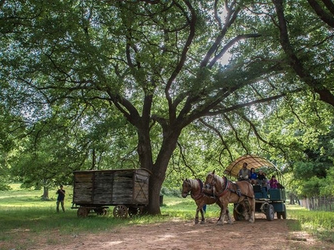 Pasqua per single in Maremma