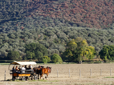 Pasqua per single in Maremma