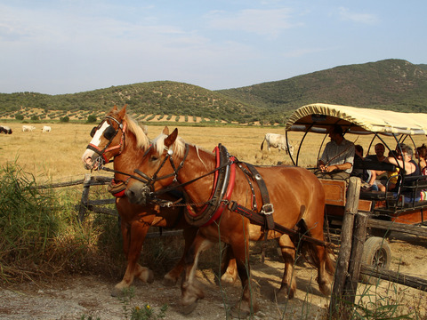Pasqua per single in Maremma