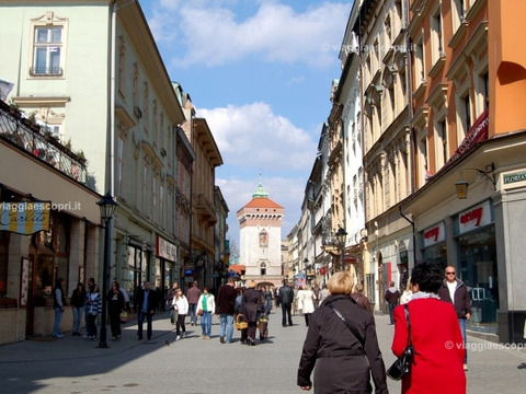 Tour della Polonia per single