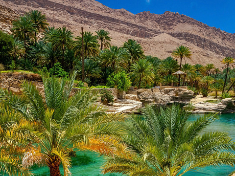 Tour Oman e Oasi