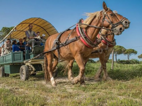 Pasqua per single in Maremma