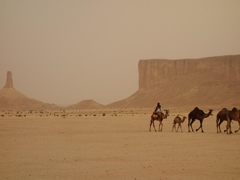 Pasqua per single Tour Arabia e Alula 