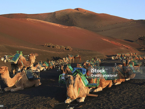 Lanzarote