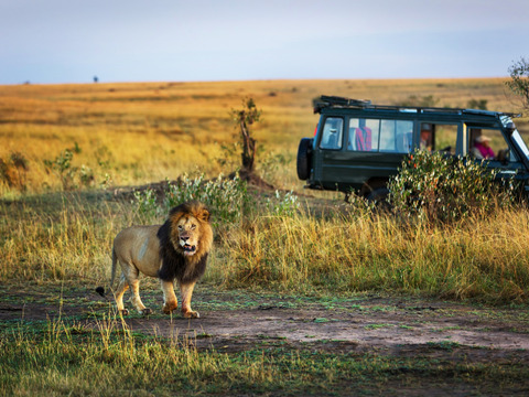 Kenya