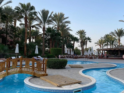 Settimana per single a Marsa Alam