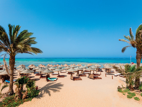 Settimana per single a Marsa Alam