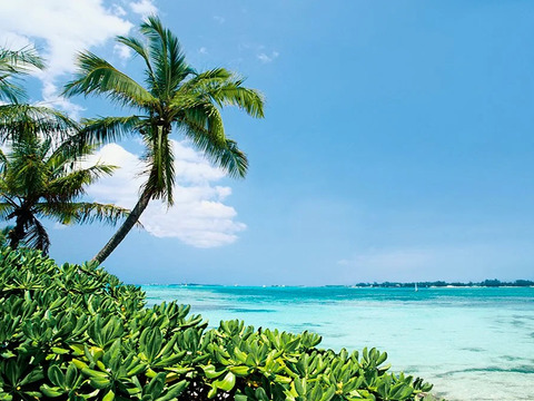 Caraibi
